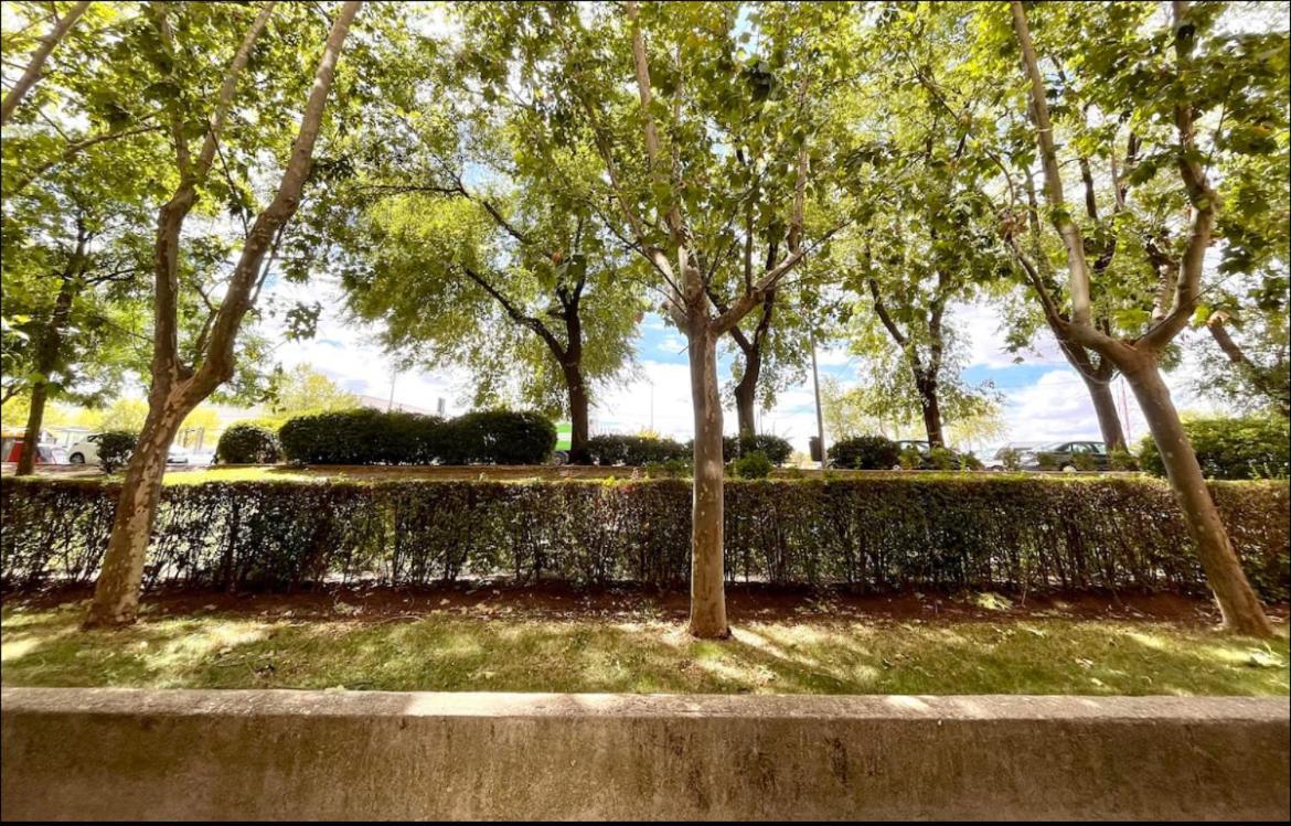 Maximilian Dreams Apartment Madrid Exterior foto